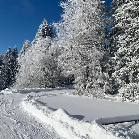 Appartement Luxury & Wellness Access Železná Ruda