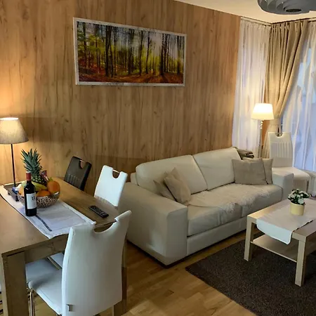 Luxury & Wellness Access Apartman Železná Ruda