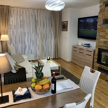 Luxury & Wellness Access Appartement Železná Ruda